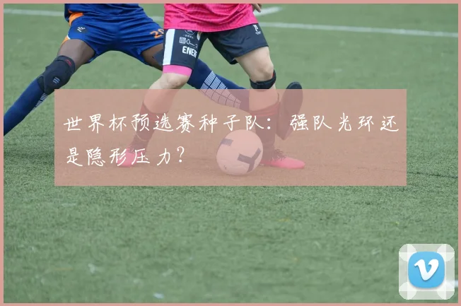 世界杯预选赛种子队：强队光环还是隐形压力？