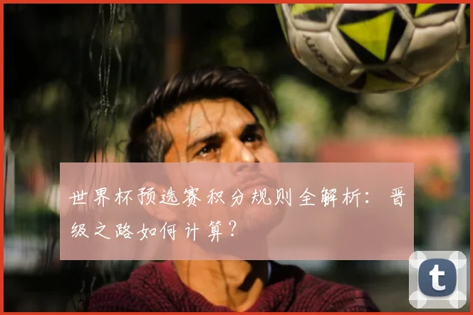 世界杯预选赛积分规则全解析：晋级之路如何计算？