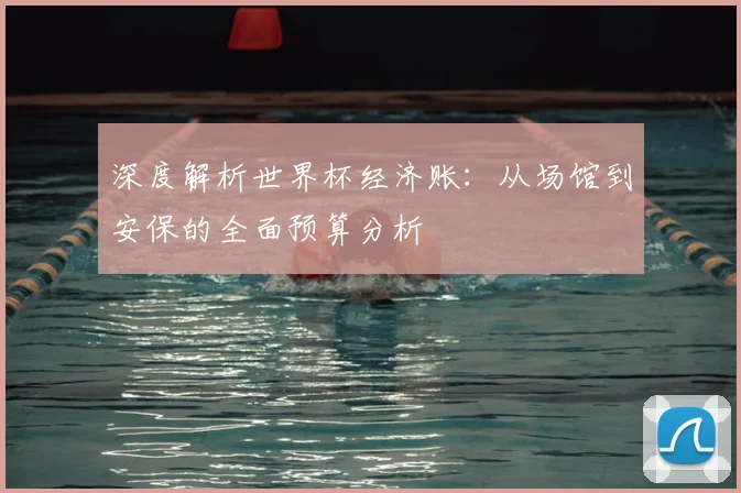 深度解析世界杯经济账:从场馆到安保的全面预算分析