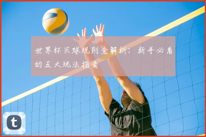 世界杯买球规则全解析:新手必看的五大玩法指南
