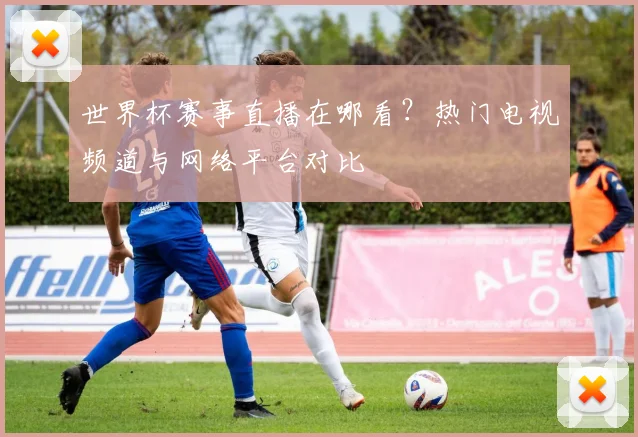 世界杯赛事直播在哪看？热门电视频道与网络平台对比